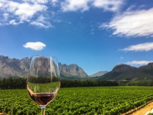 ideal wine company - South African wines