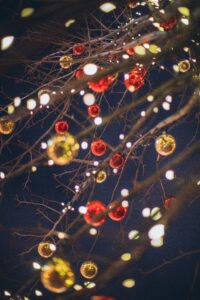 Winter wines, lights and branches
