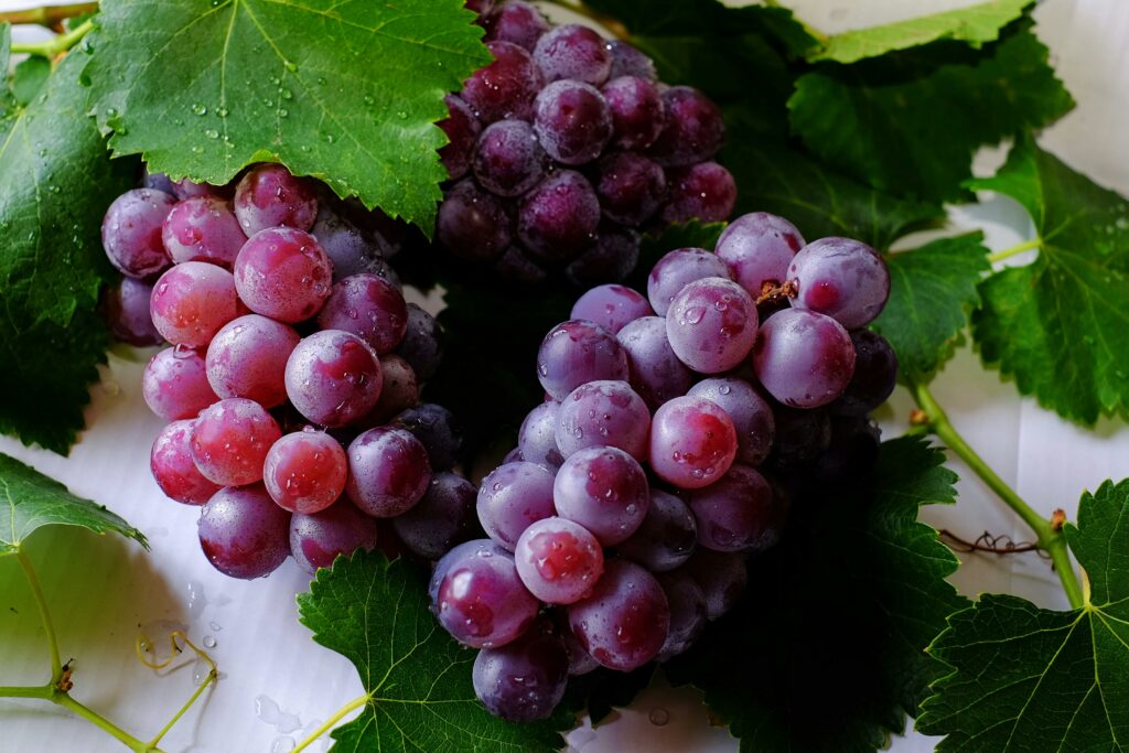 Grapes, Ideal wine company